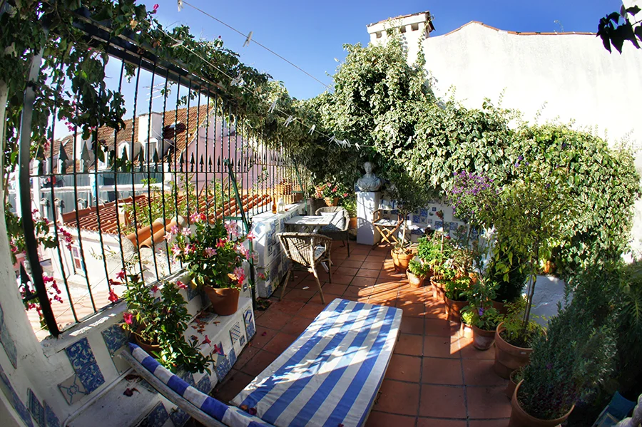 Terraza jardín